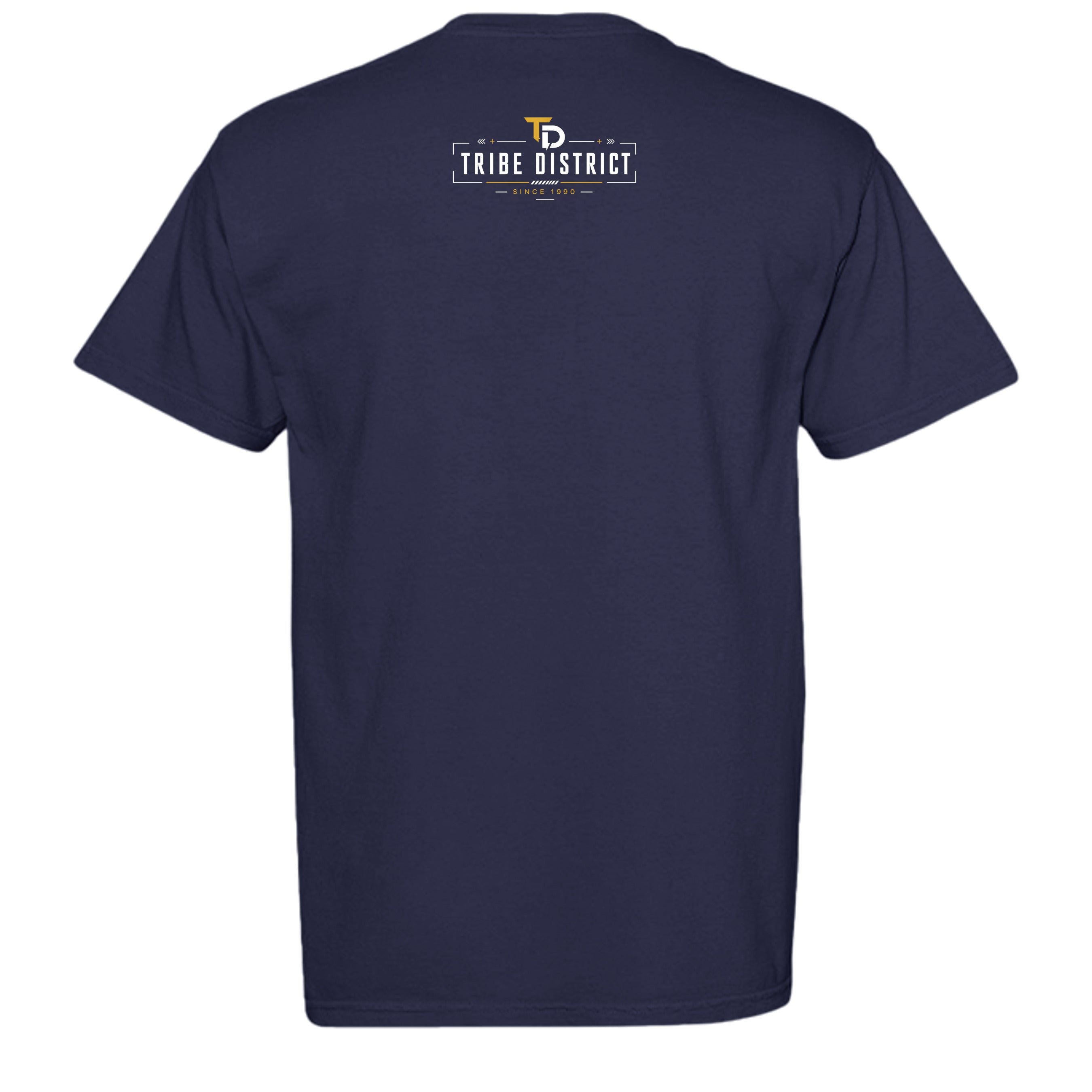 TRUE NAVY - C1717 - BACK